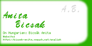 anita bicsak business card